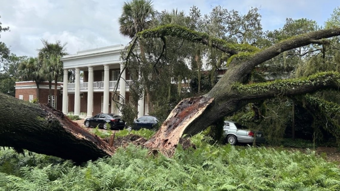 Massive Tree Falls On Florida Governor S Mansion In Tallahassee