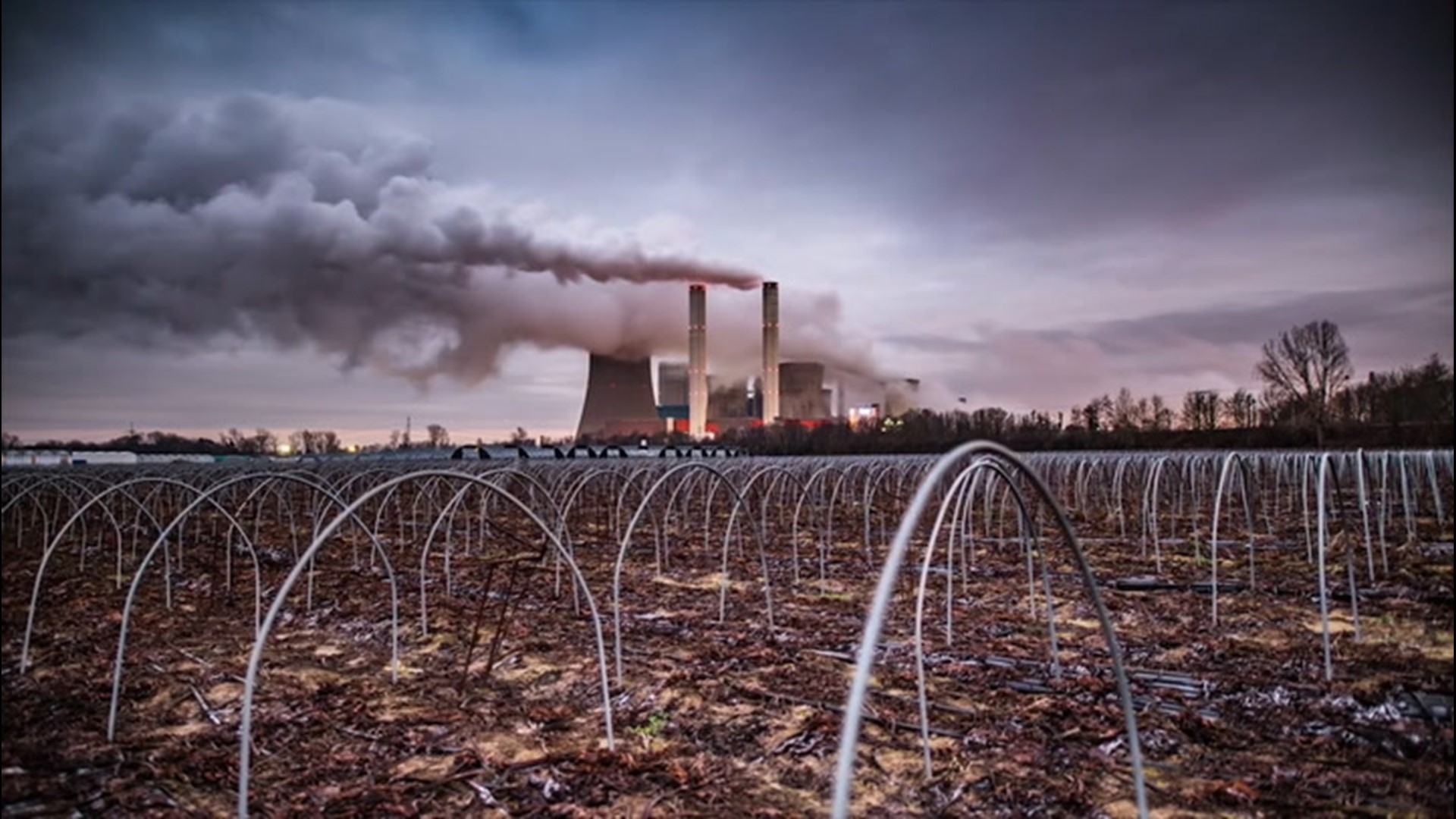 Phrases like 'carbon neutral,' carbon negative' and 'net zero' are starting to pop up as more companies move toward going green. Here's a look at what the terms mean.