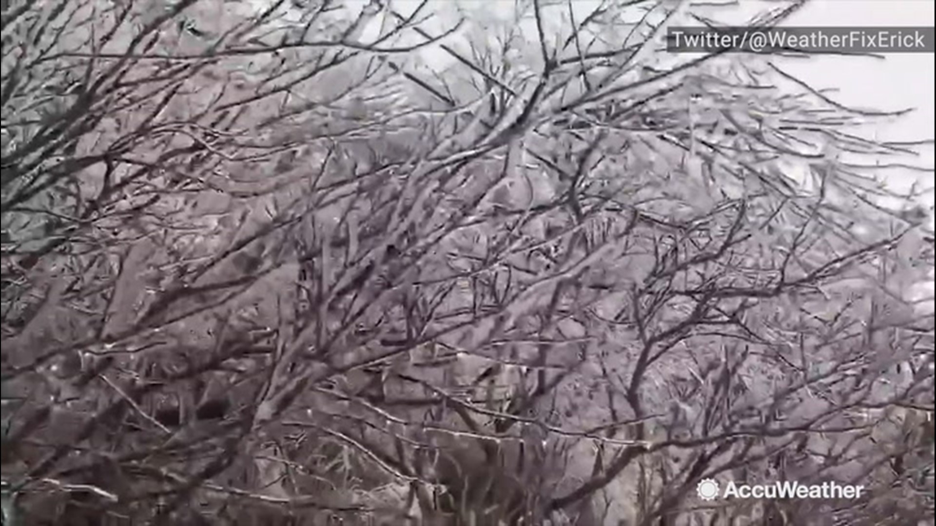 There's some spectacular scenery on top of Savage Mountain in western Maryland on Dec. 2, as icy trees are blown by gusts of wind.