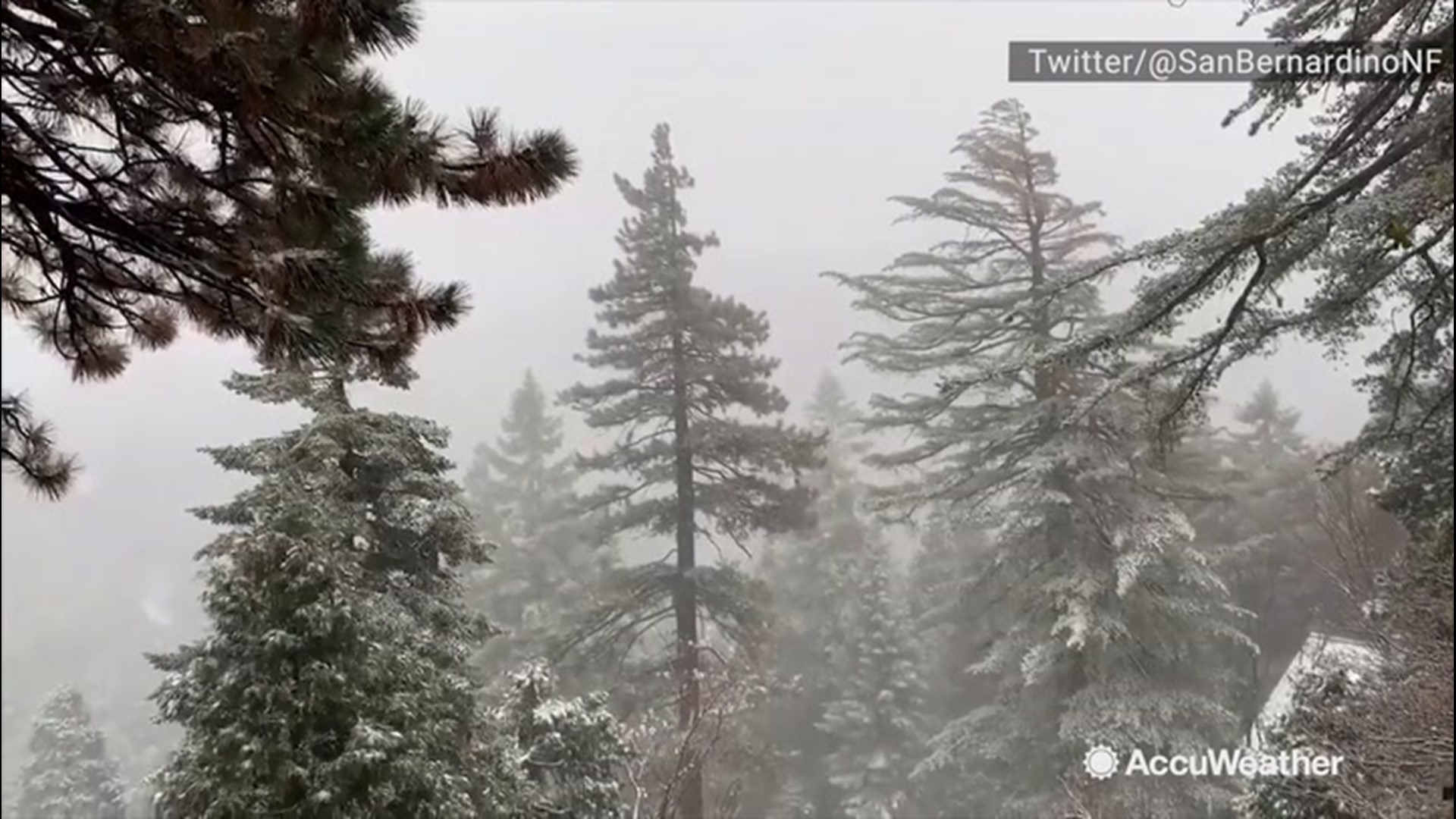 In both San Bernardino, California, and Cajon Pass, snow piled up when a blustery snowstorm hit on Nov. 20.