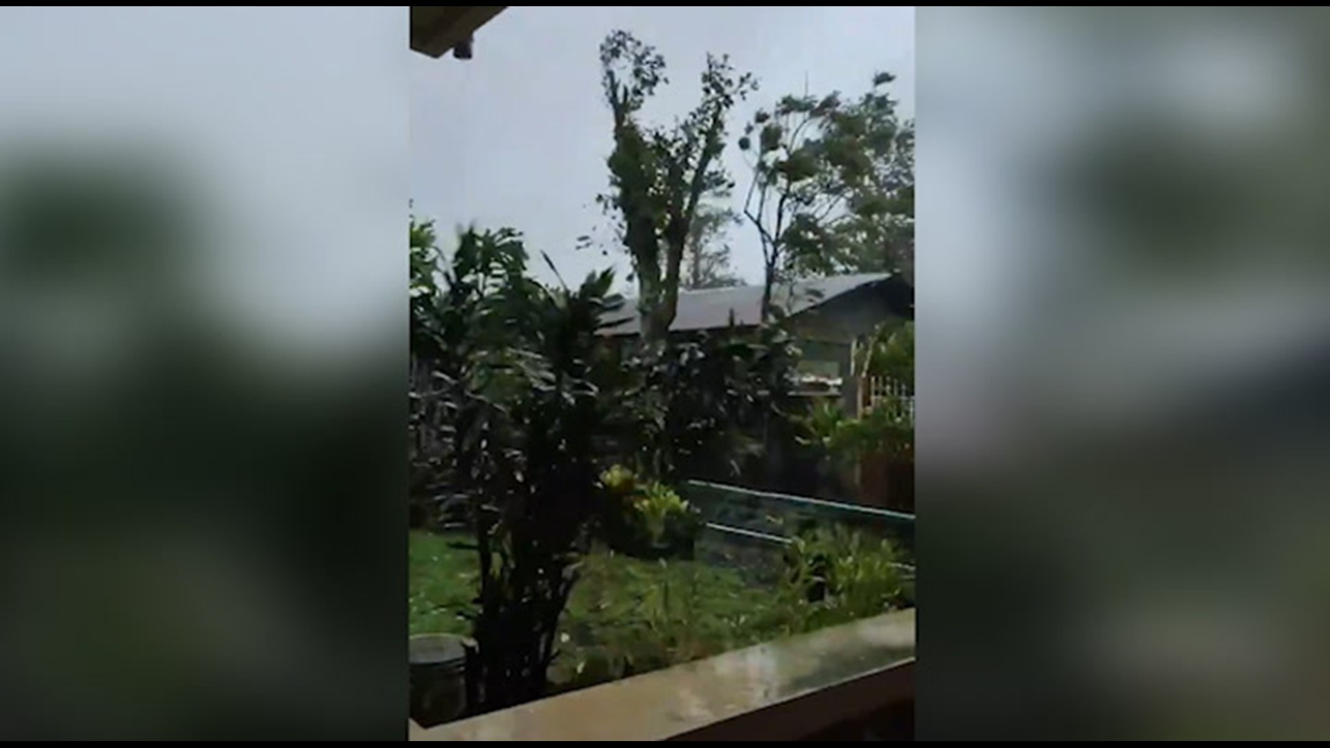 Video captures trees swaying in high winds as residents brace for the landfall of Typhoon Rolly in Iriga, Philippines, on Oct. 31.