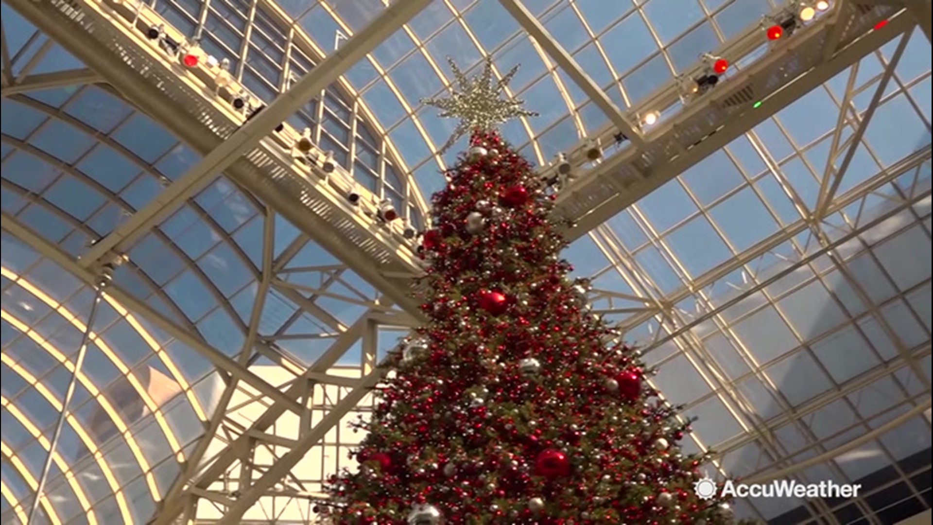 Think the Rockefeller Christmas tree in New York is big? Take a look at this tree in Galleria Dallas. AccuWeather's Bill Wadell visited the tree on Dec. 3.