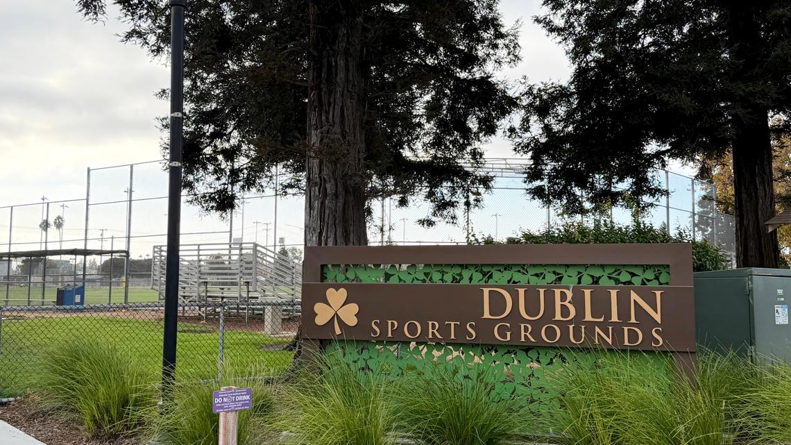 In-Laws Charged With Murder of New York Times Executive Killed in Public Park