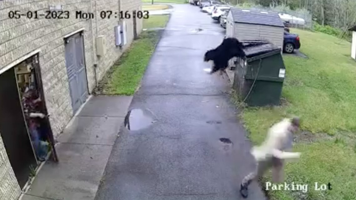 WATCH: Bear gives West Virginia principal a roaring wake-up call
