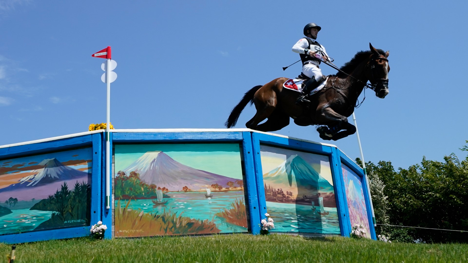 Tokyo Olympics: Horse Euthanized After Competition Injury ...