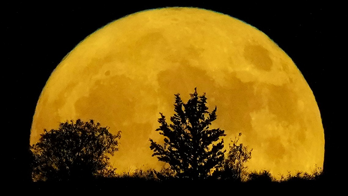 Supermoon August 2024 Australia Truda Hilliary