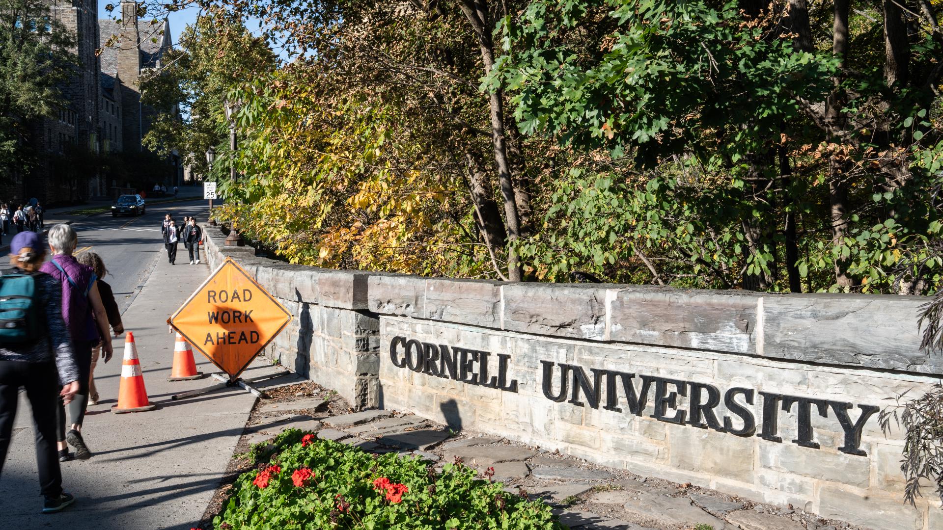 Cornell faculty to begin voting on no-confidence measure over handling ...