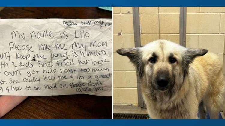 Dog found wandering with heartbreaking note reunited with owner