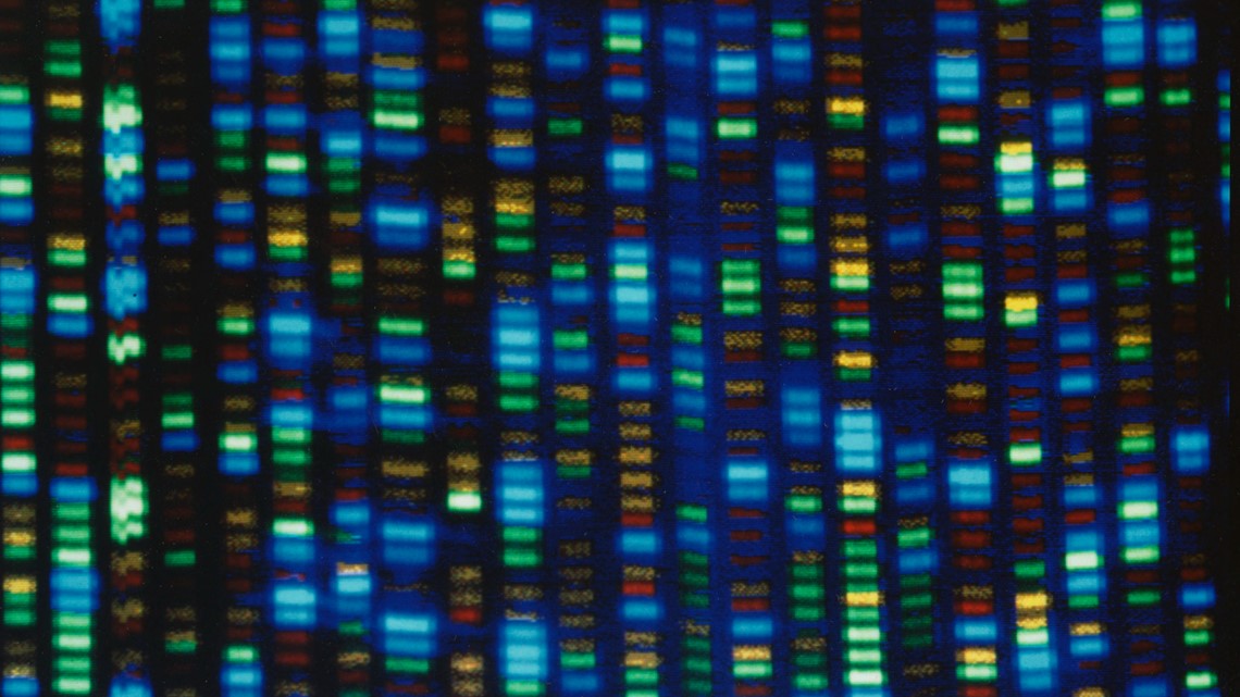 Human genome decoded fully | firstcoastnews.com - Vimarsana News