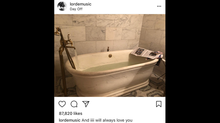 Image result for lorde whitney