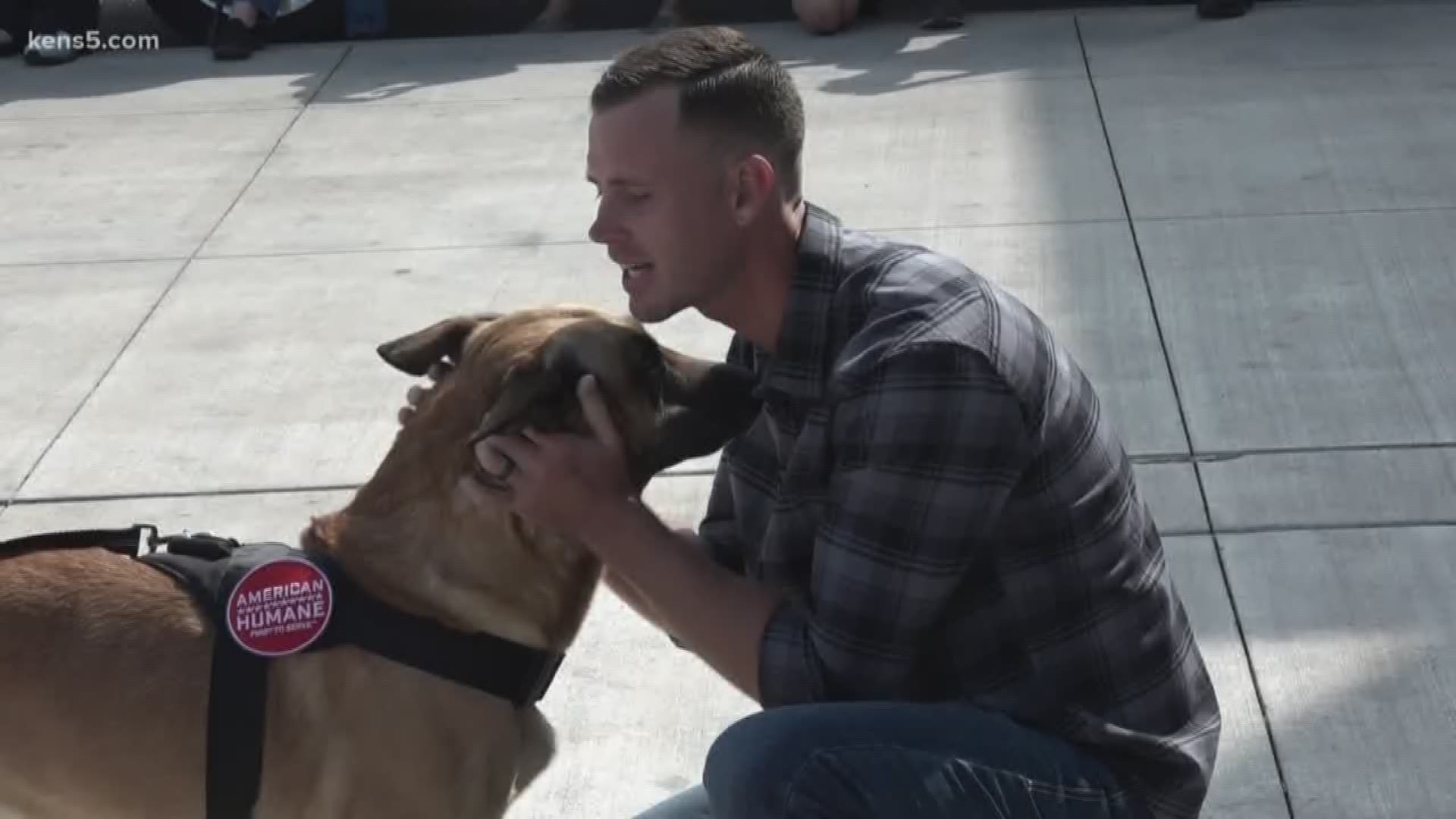 A military dog received the best gift for his retirement. He was reunited with his former partner, who is adopting him. Eyewitness news reporter Sharon Ko shows us the heartwarming reunion.