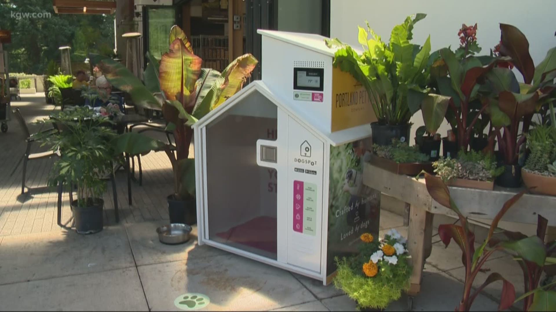 You can keep your dog safe outside a Zupan’s in one of their high-tech dog houses.