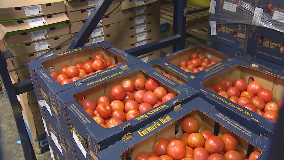 Climate change anticipated to decrease yields of ketchup cultivar - Vimarsana News