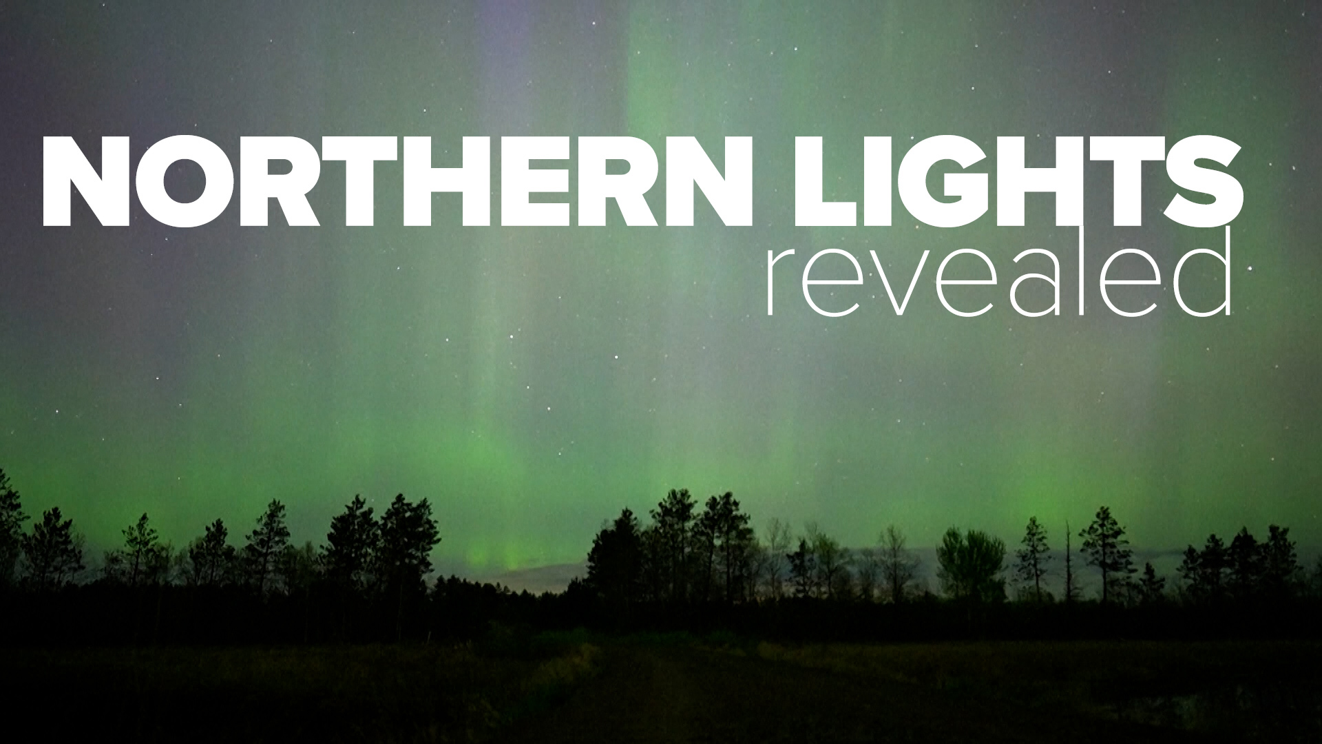 The phenomenon of the Northern Lights has captured the attention of the entire world. Here’s what causes the Aurora Borealis and how you can take pictures of them.