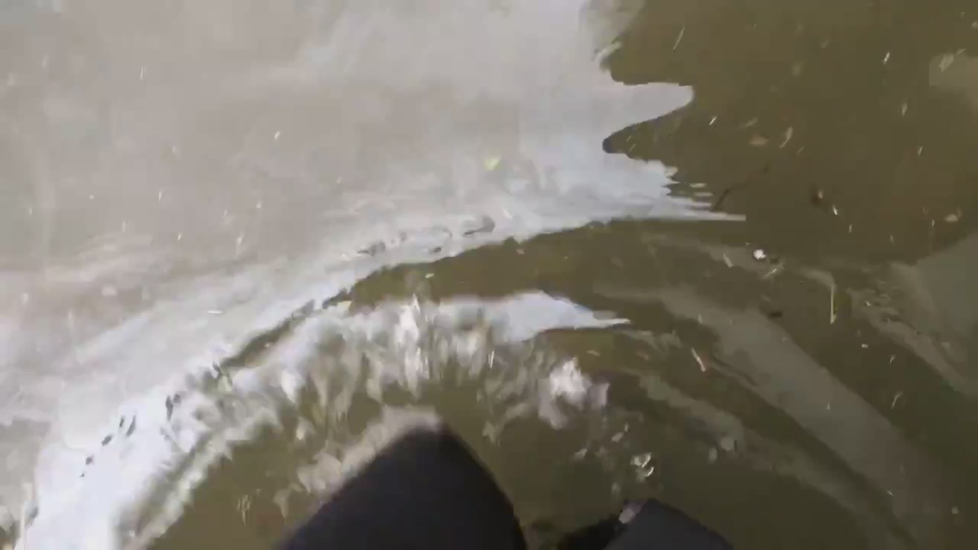 12News reporter Rachel Keller and her colleagues waded through Imelda's floodwaters on Hollywood Street in Beaumont after being rescued on Sept. 19, 2019.