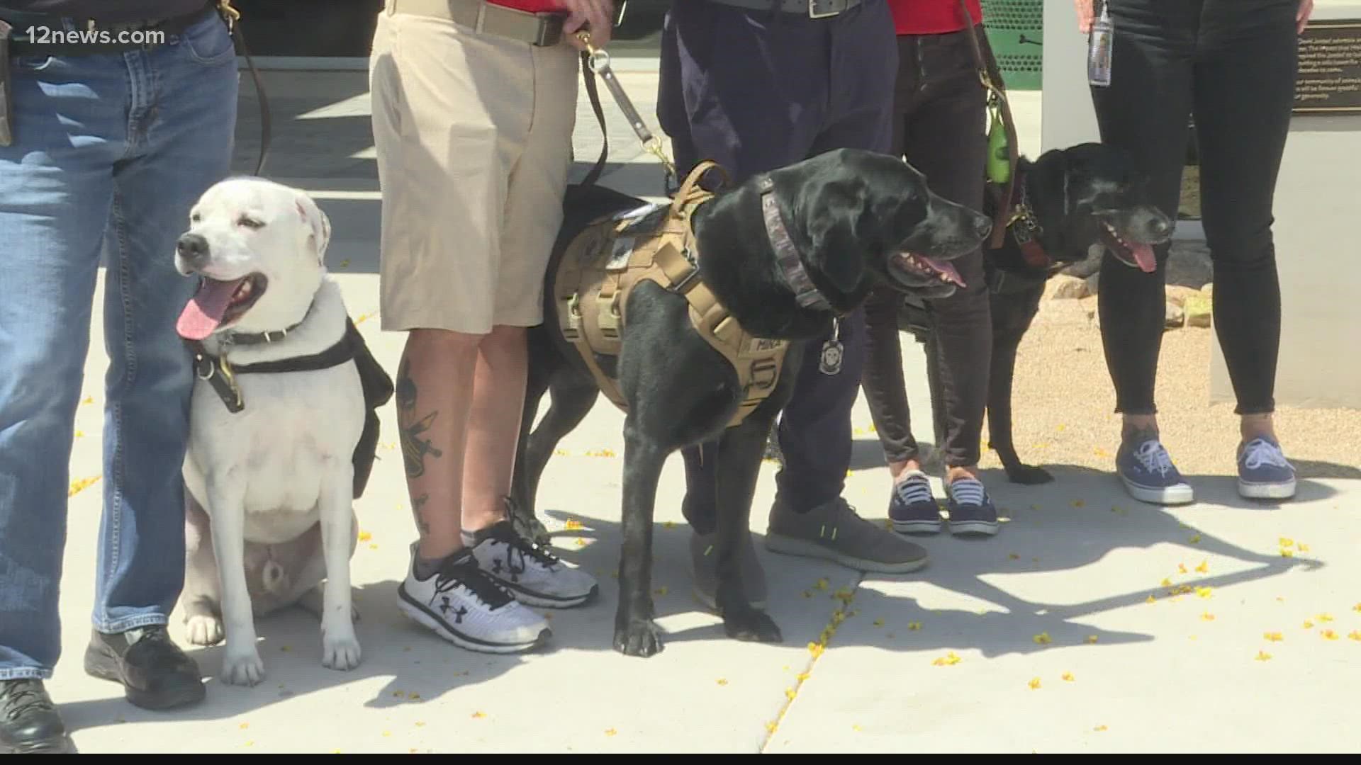 K-9s For Warriors is expanding into Tempe to help Arizona veterans. The organization helps veterans while saving dogs from being euthanized.