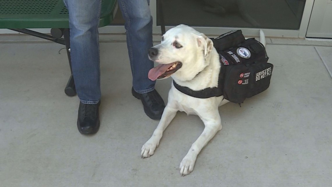 K-9s For Warriors expanding into Arizona to help veterans - Vimarsana News