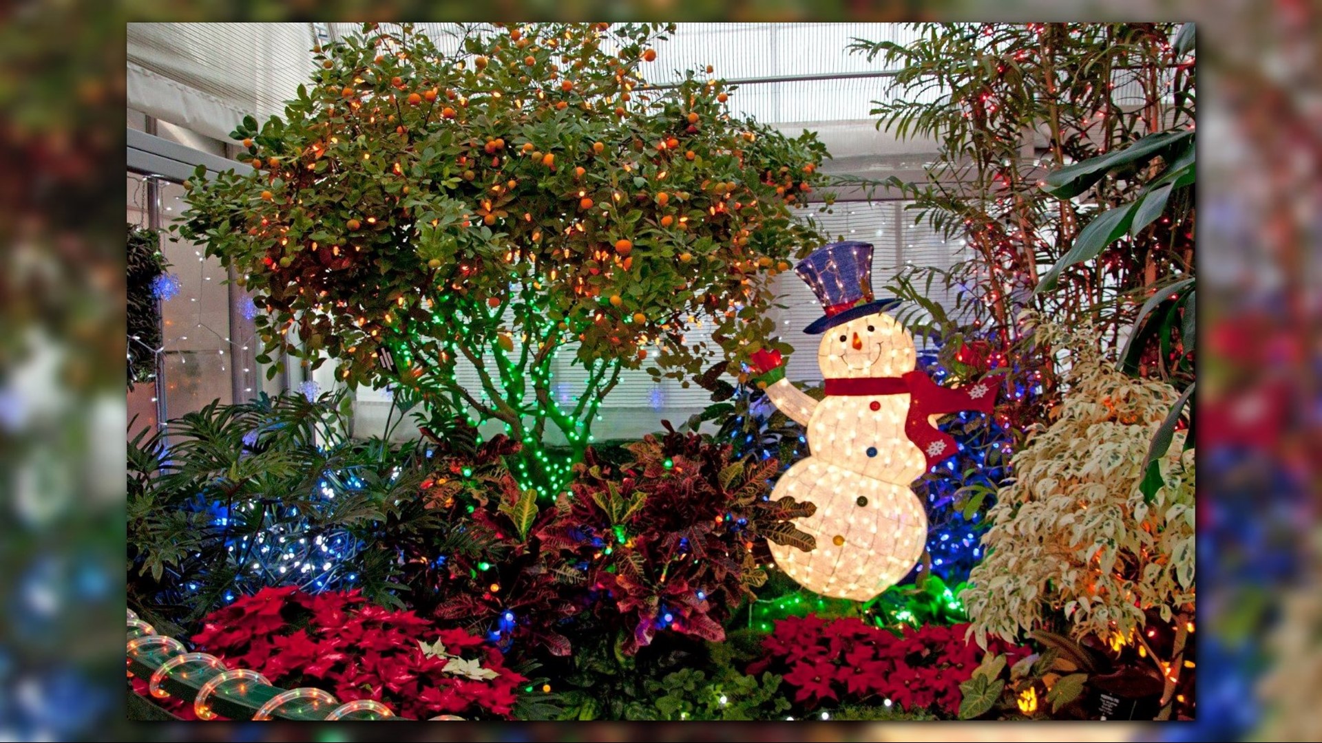 Christmas in Spokane: 9 ways to celebrate the holiday season | firstcoastnews.com