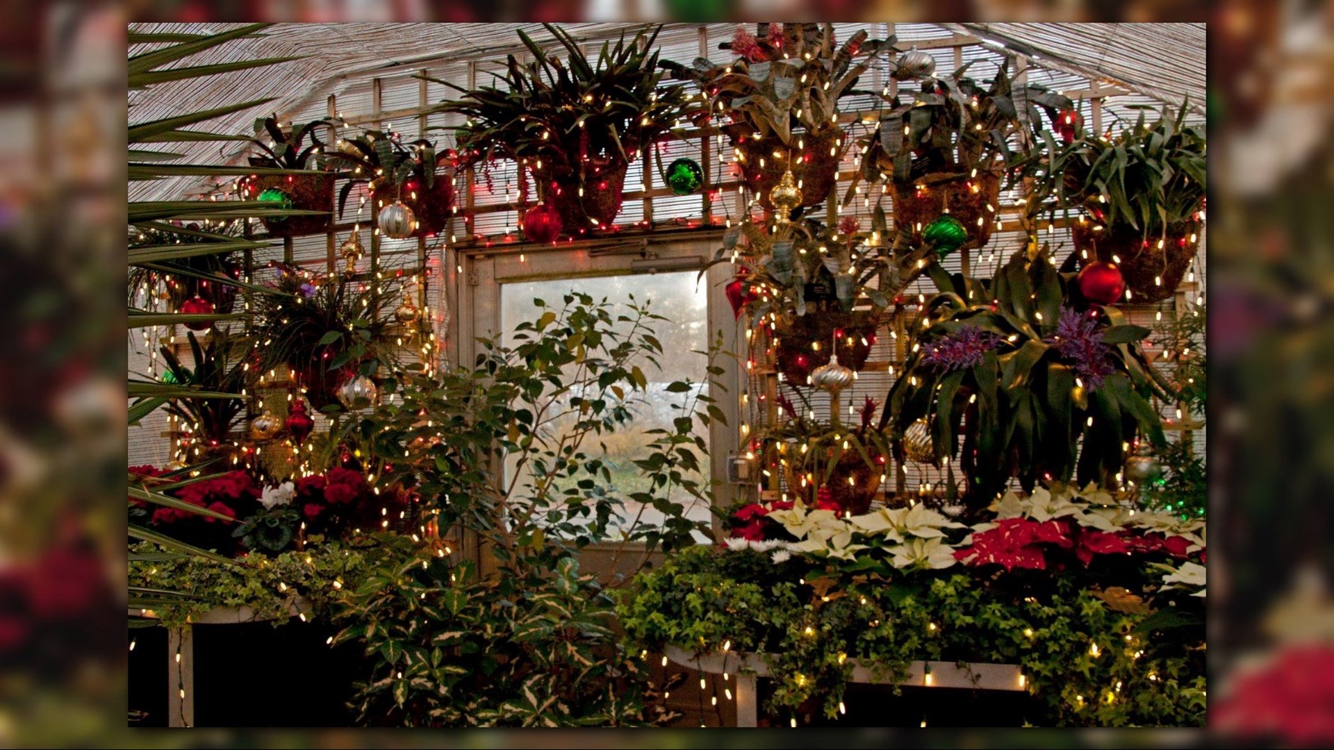 Christmas in Spokane: 9 ways to celebrate the holiday season | firstcoastnews.com