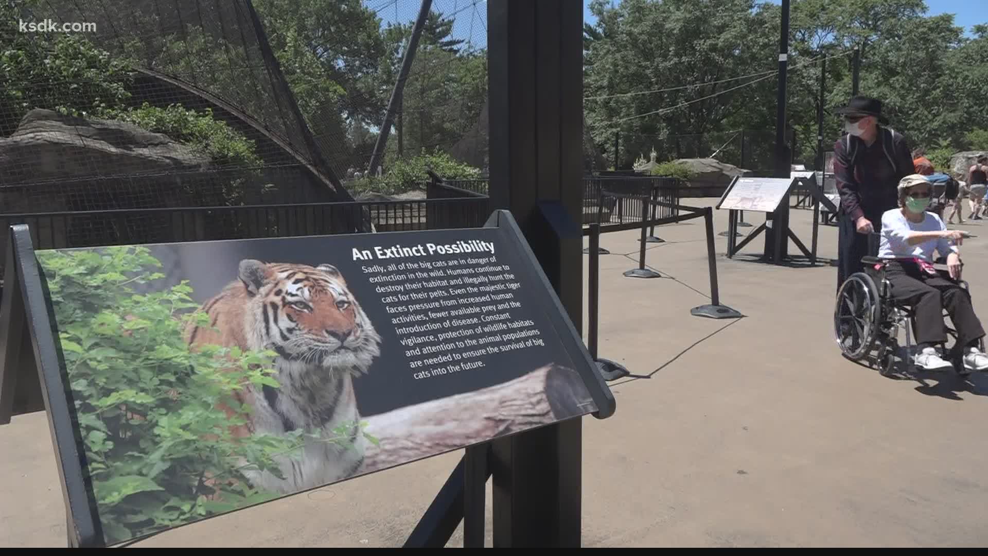 Saint Louis Zoo reopens with changes | St. Louis coronavirus | 0
