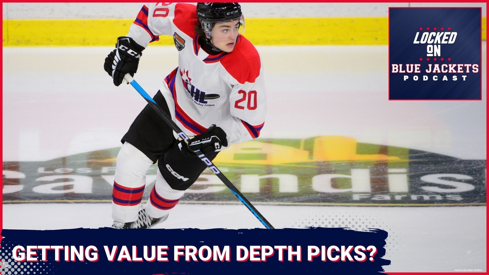 The Value of NHL Prospects and Draft Picks