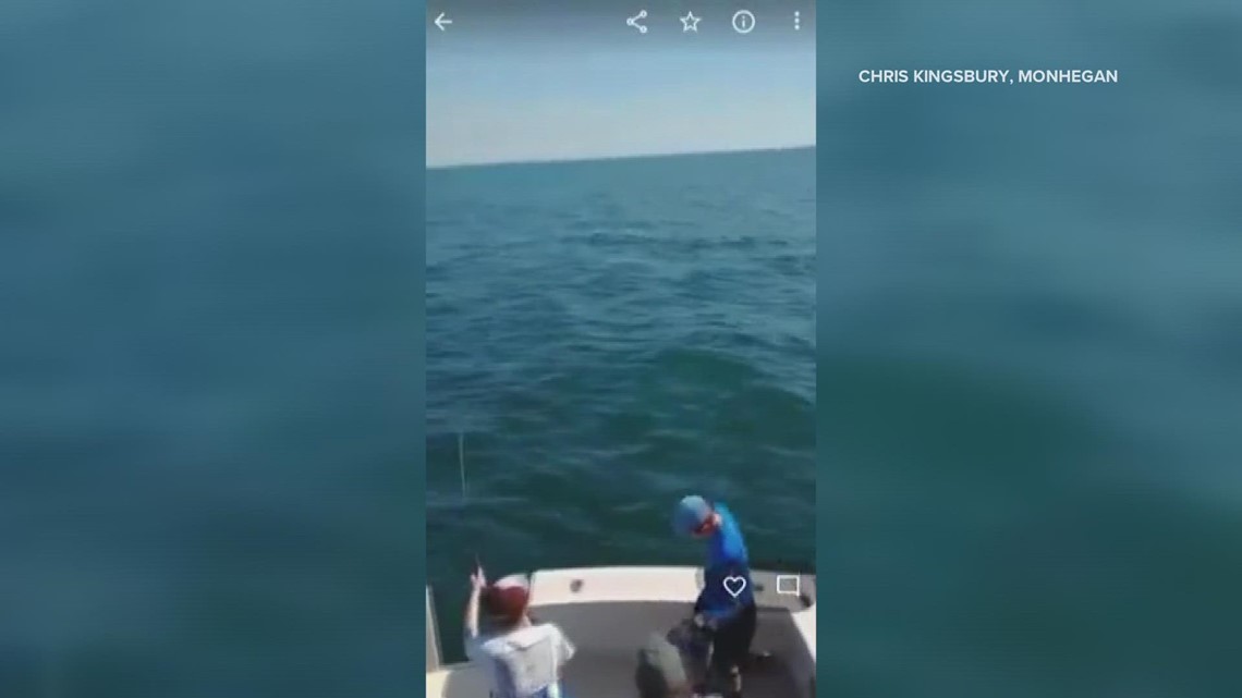 Mako shark jumps onto midcoast fishing boat | firstcoastnews.com - Vimarsana News