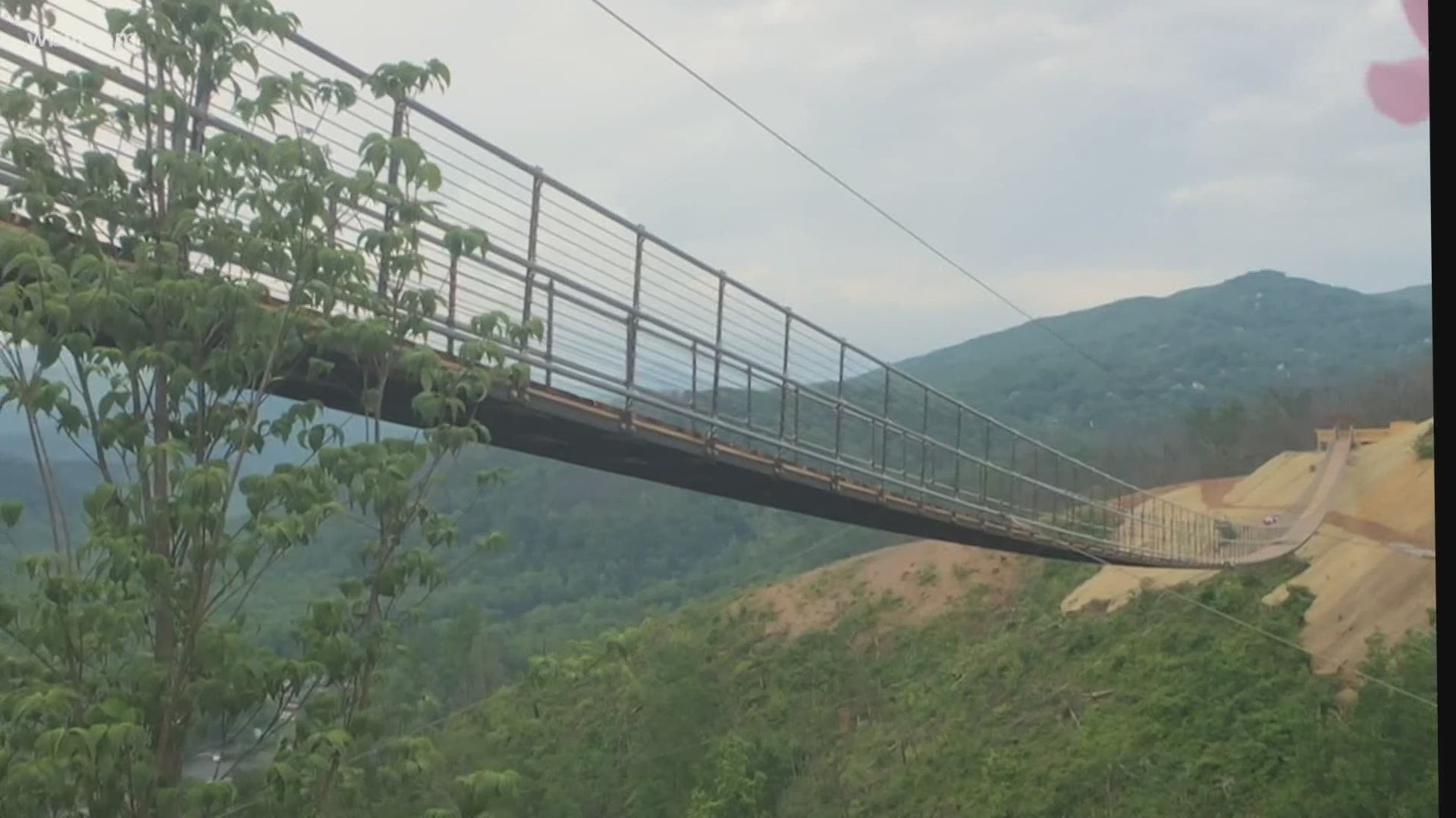 Skybridge in Gatlinburg glass cracked by visitor