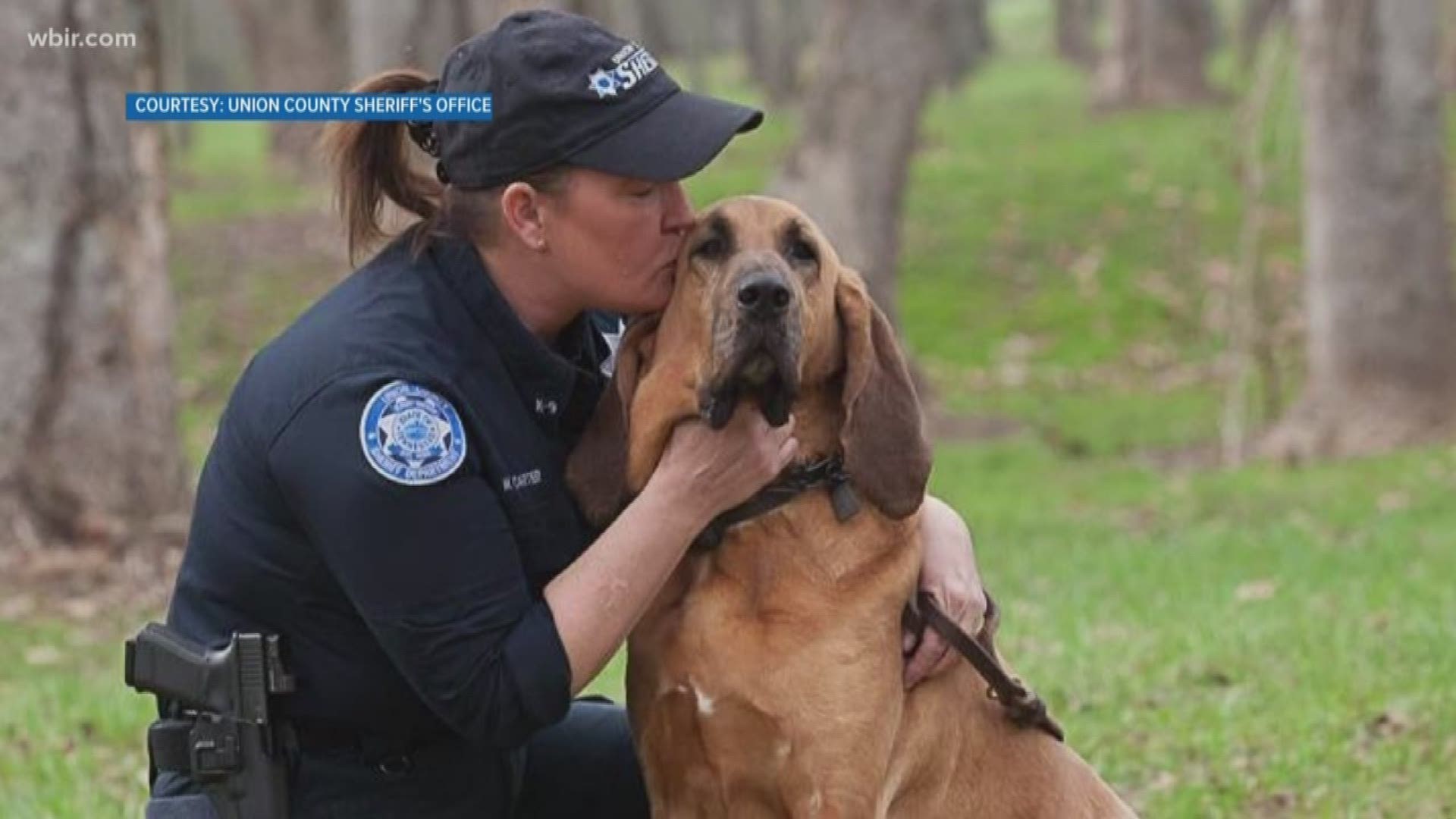 Josey was a 7 year old bloodhound who worked with the sheriff's office. She died a week ago, from what vets say was a previously unknown medical condition.