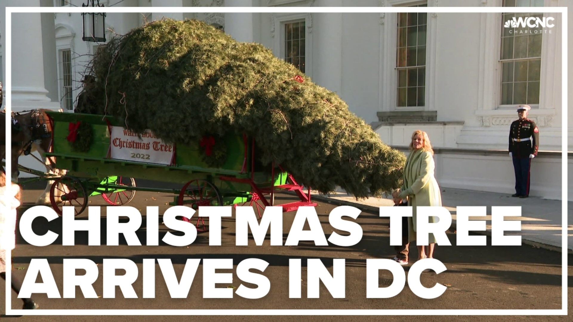 First Lady Jill Biden welcomes the White House Christmas tree, a product of Pennsylvania, to Washington.