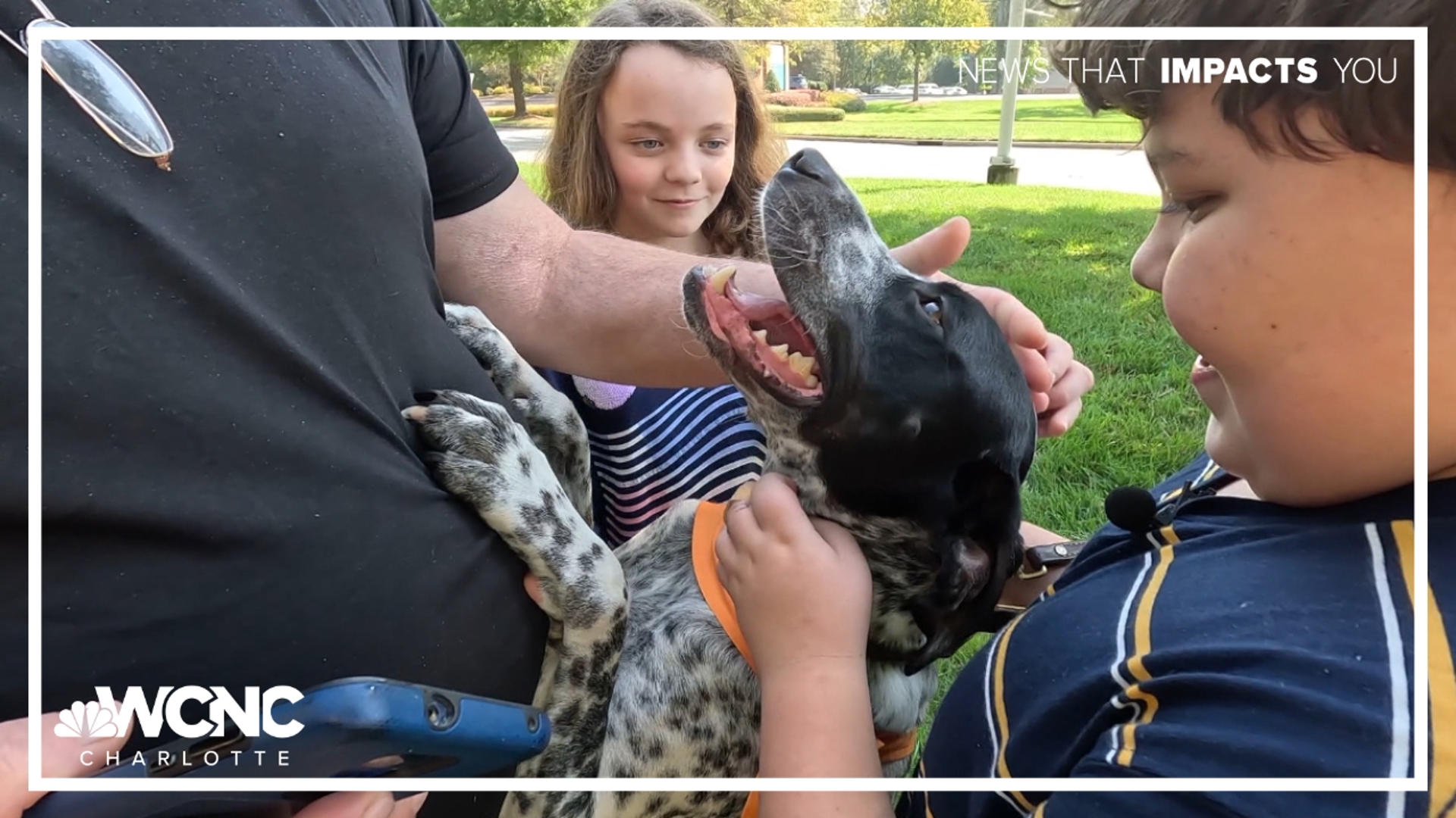 A rescue dog saved a boy buried under rubble during Hurricane Helene, reuniting their family and gaining community support.
