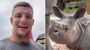 A Tampa Bay zoo named a fitting animal after Rob Gronkowski