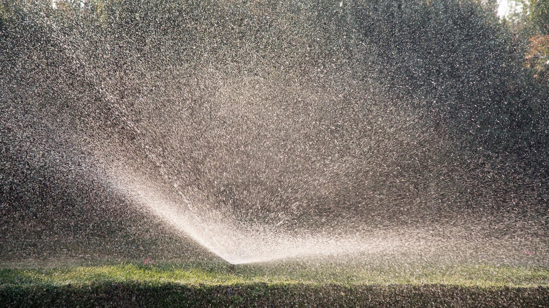 Until November, St. Johns County residents can no longer water their yards from 10 a.m. to 4 p.m. and will have scheduled days when watering is allowed.