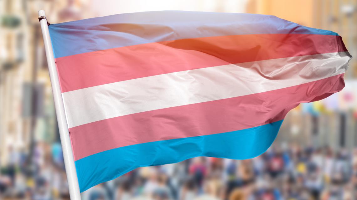 Federal judge throws out Florida law blocking treatment for transgender children - Vimarsana News