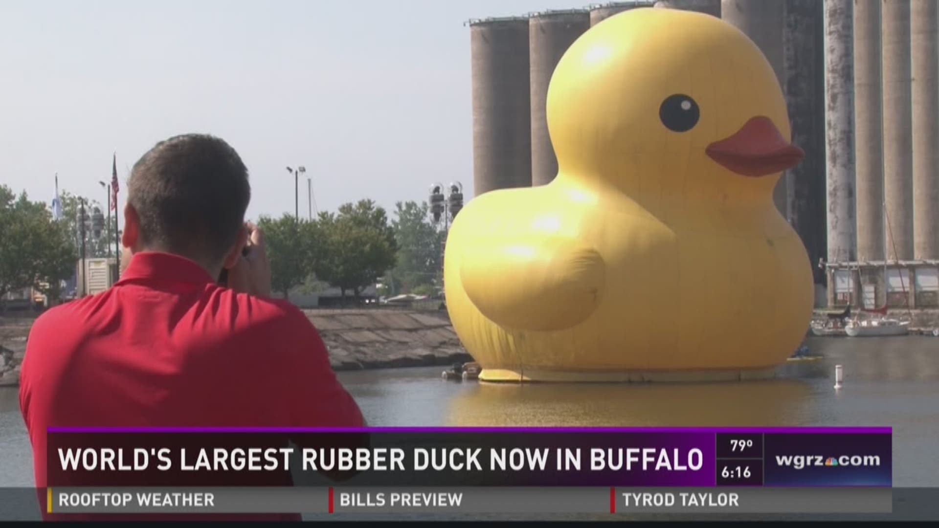 Largest rubber duck in the world nesting at Canalside