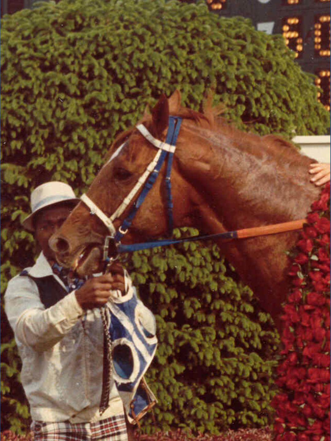 Kentucky Derby history: Secretariat's victory helped catapult him into ...