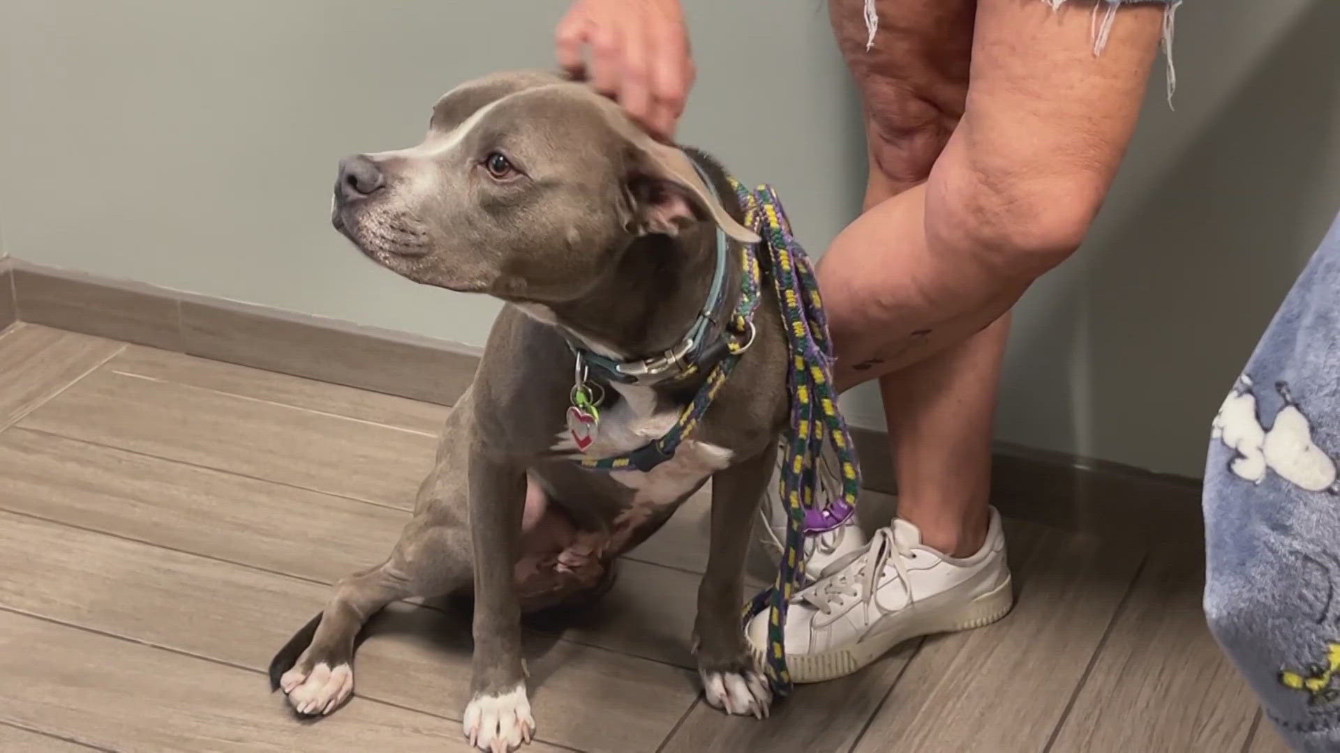 Stanley received a life-saving blood transfusion when he was younger, and now he’s giving back by donating his own blood.