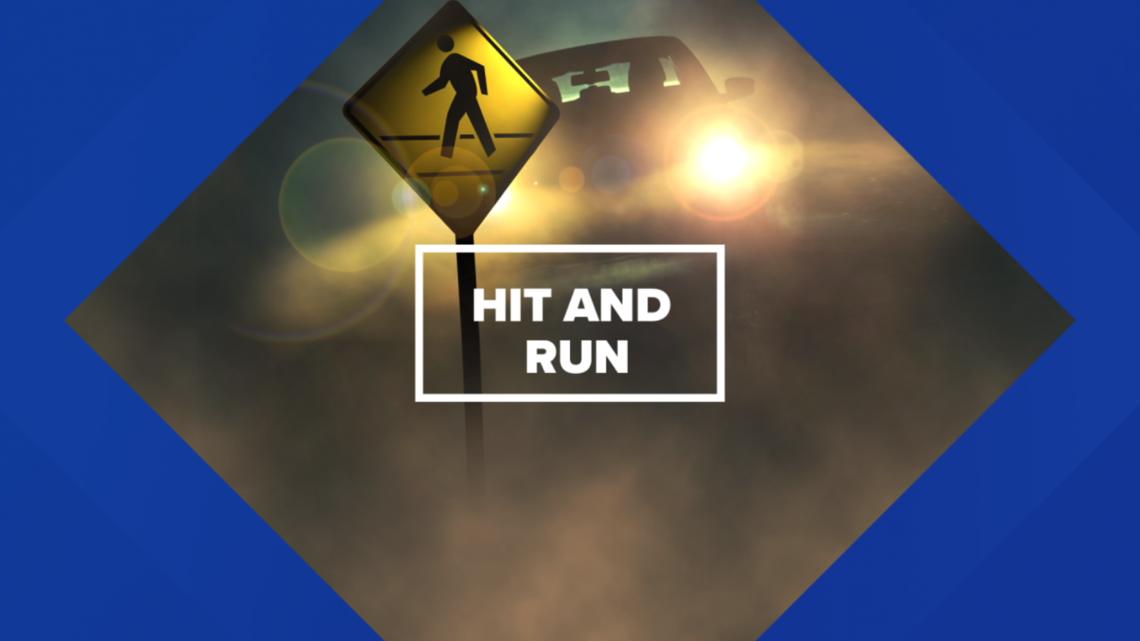 6 year old child hit by car, killed in St. Augustine - Vimarsana News