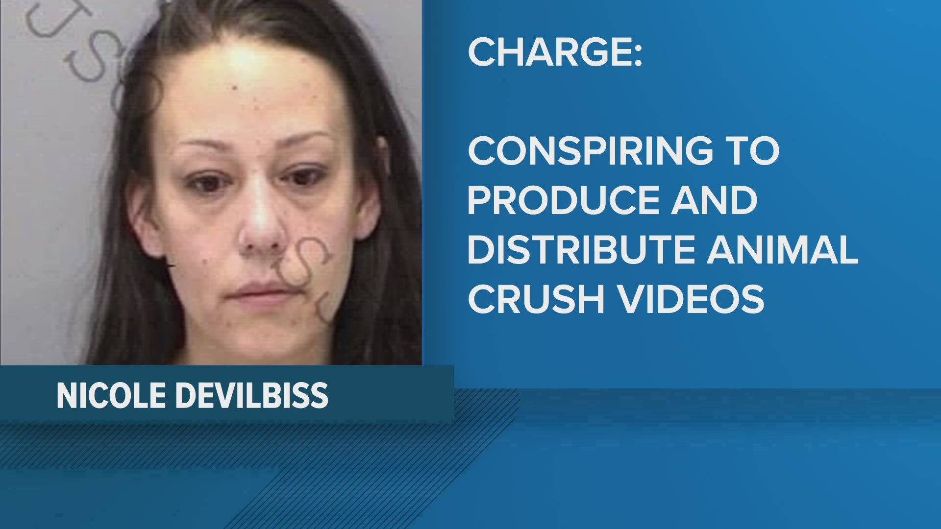 Nicole Devilbiss, 35, was an administrator on an online group chat that was "dedicated to the abuse, torture, and death of monkeys," court documents state.