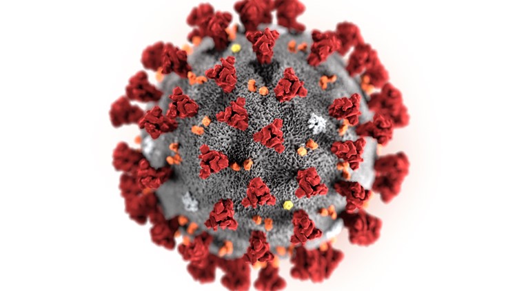 World Health Organization hosts briefing on coronavirus outbreak