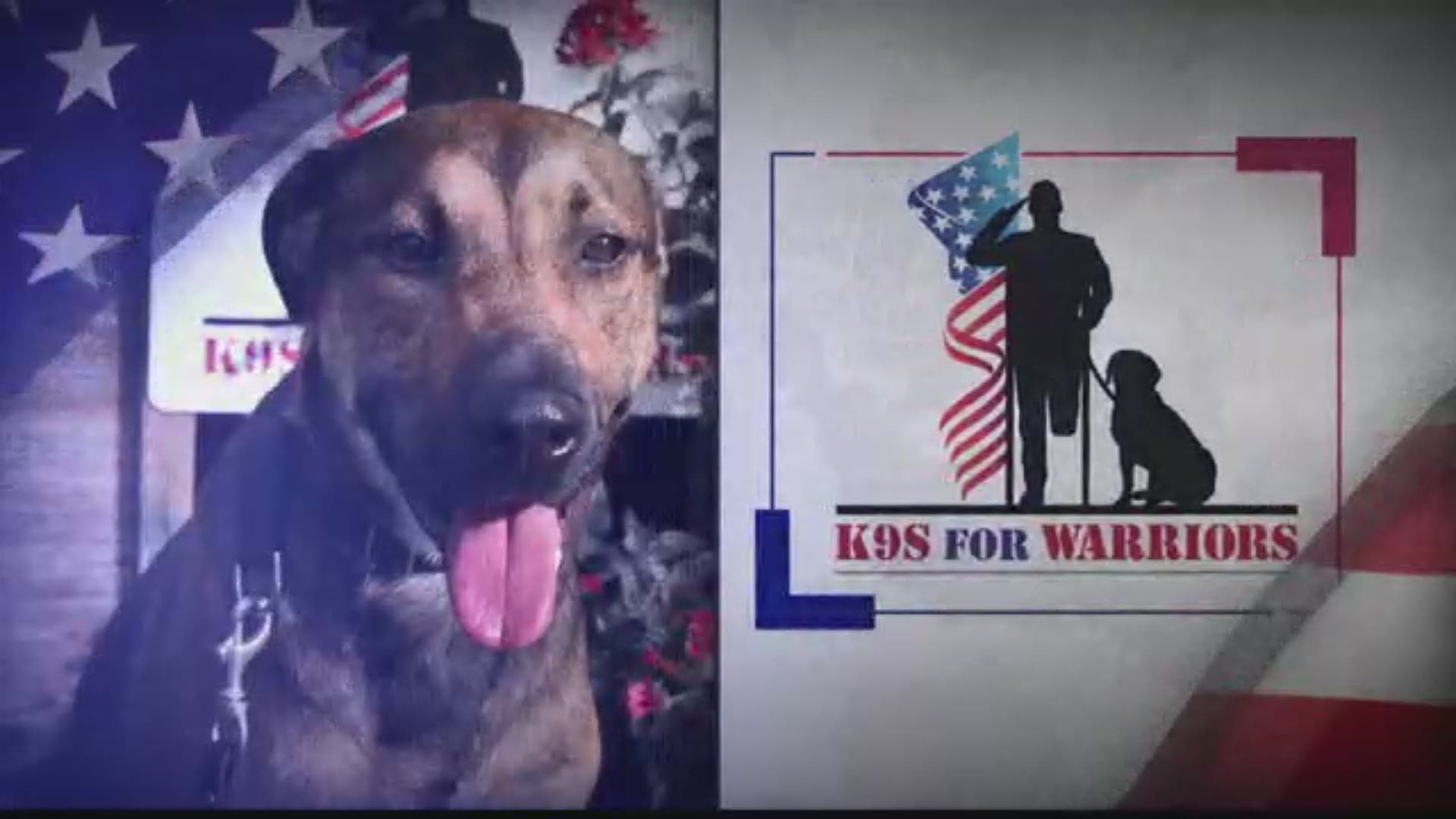 After leaving the Marines, Chase Carle said he was in a bad place. He lost a lot of his friends and was depressed. He reached out to K9s for Warriors for help.