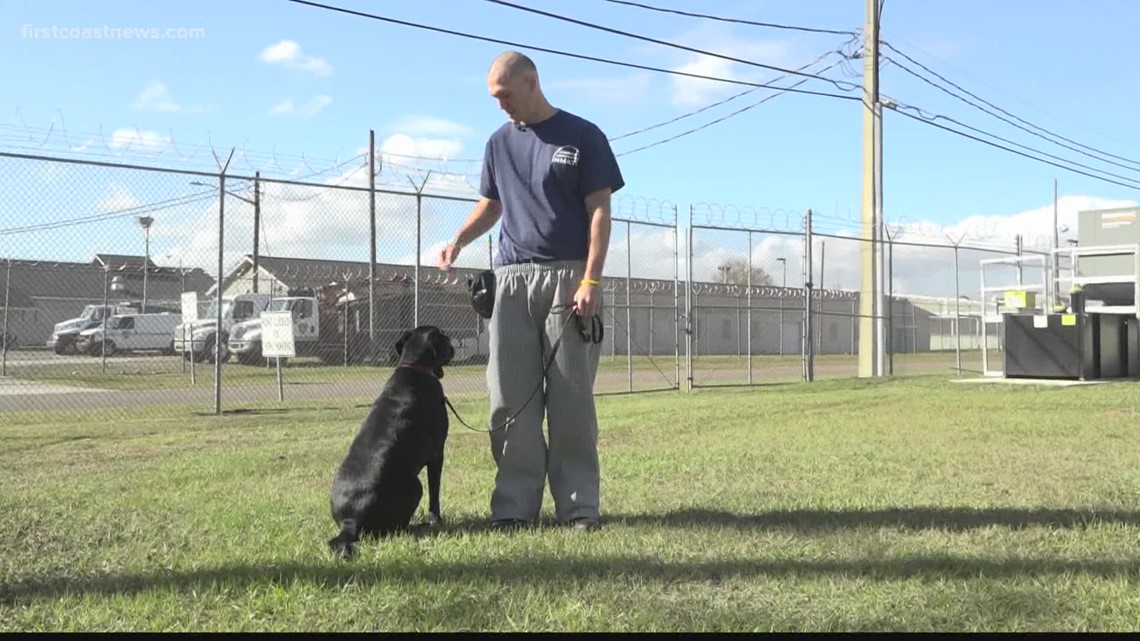 K9s for Warriors helped by Inmates | firstcoastnews.com - Vimarsana News