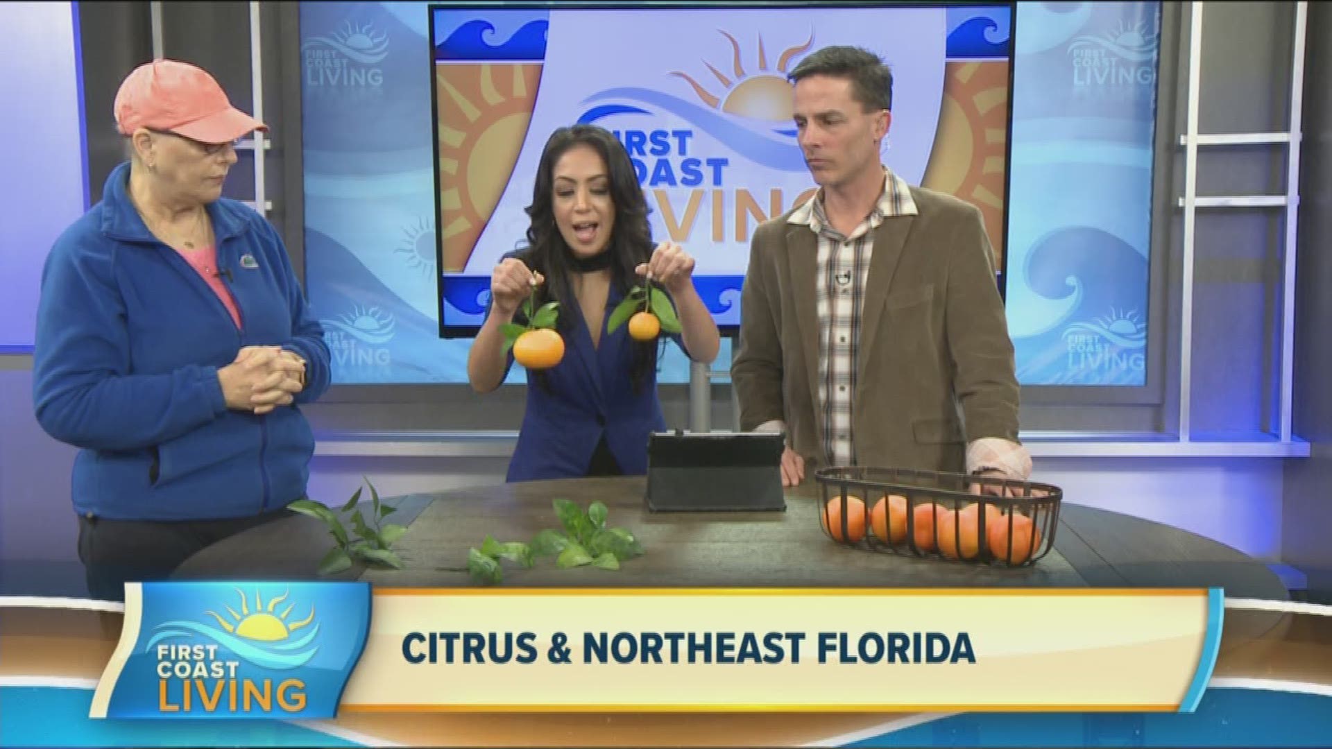 Rebecca Jordi with the Nassau County Extension Office shares tips on how to protect our plants during cold temperatures as well as let's us know what's currently damaging the citrus industry.