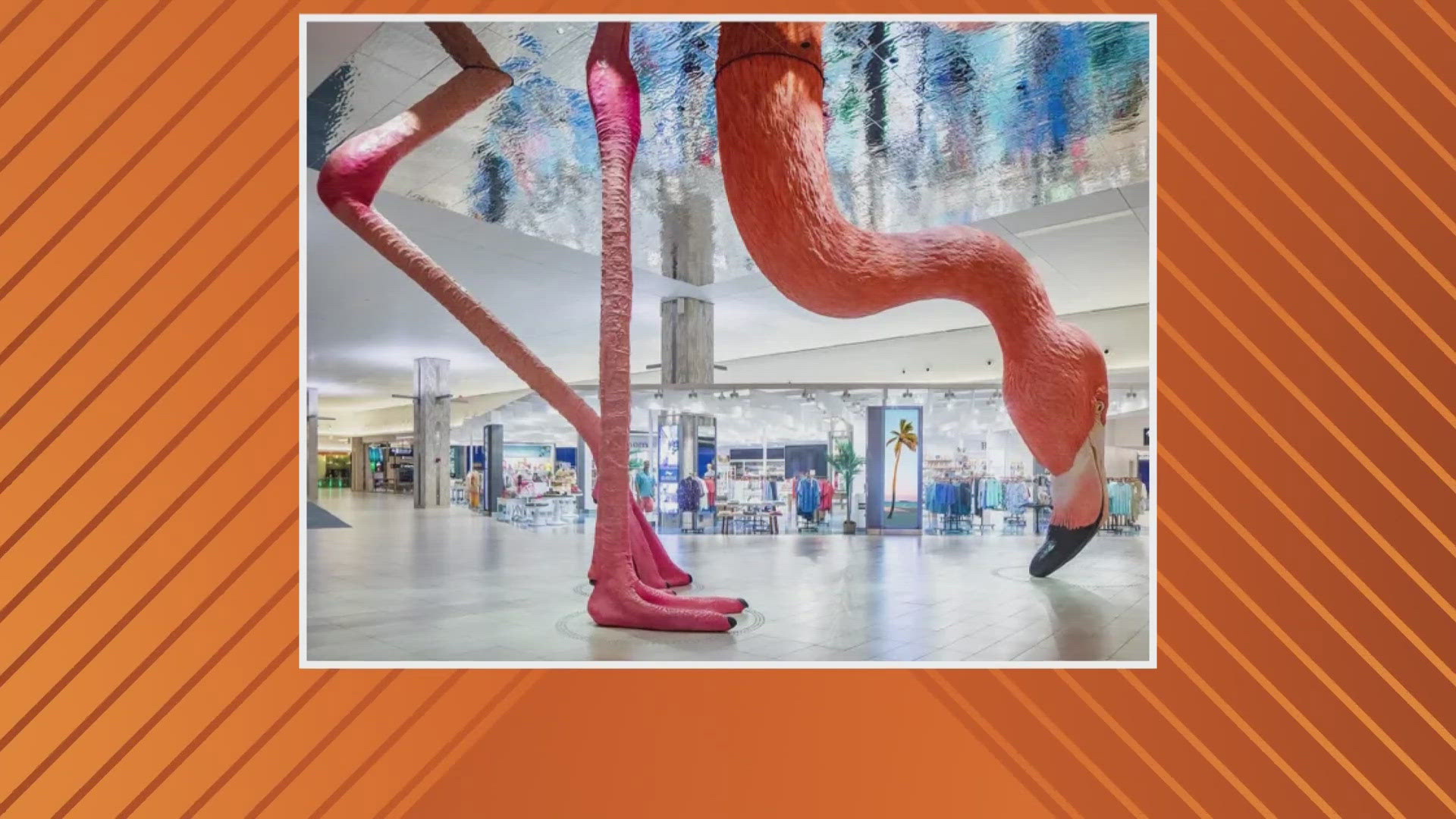 Phoebe flying? 21-foot flamingo sculpture at Tampa International Airport |  firstcoastnews.com