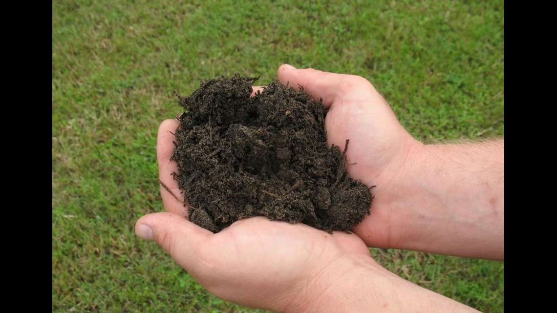 Jacksonville Zoo giving out free compost, just in time for Spring