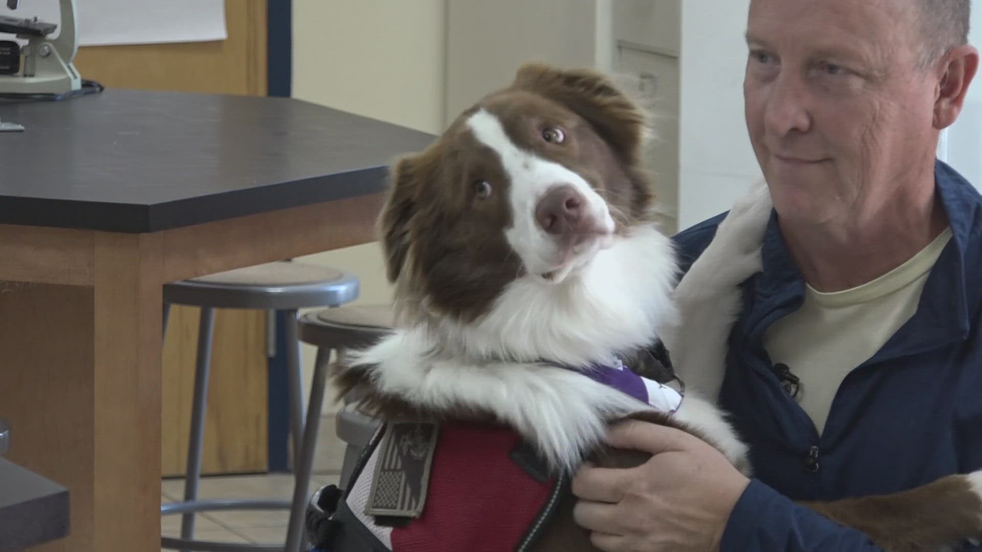 Veteran Steve Krist teaches high school creative writing in Jacksonville, and his K9 partner, Mack, makes sure the lessons keep coming every day.