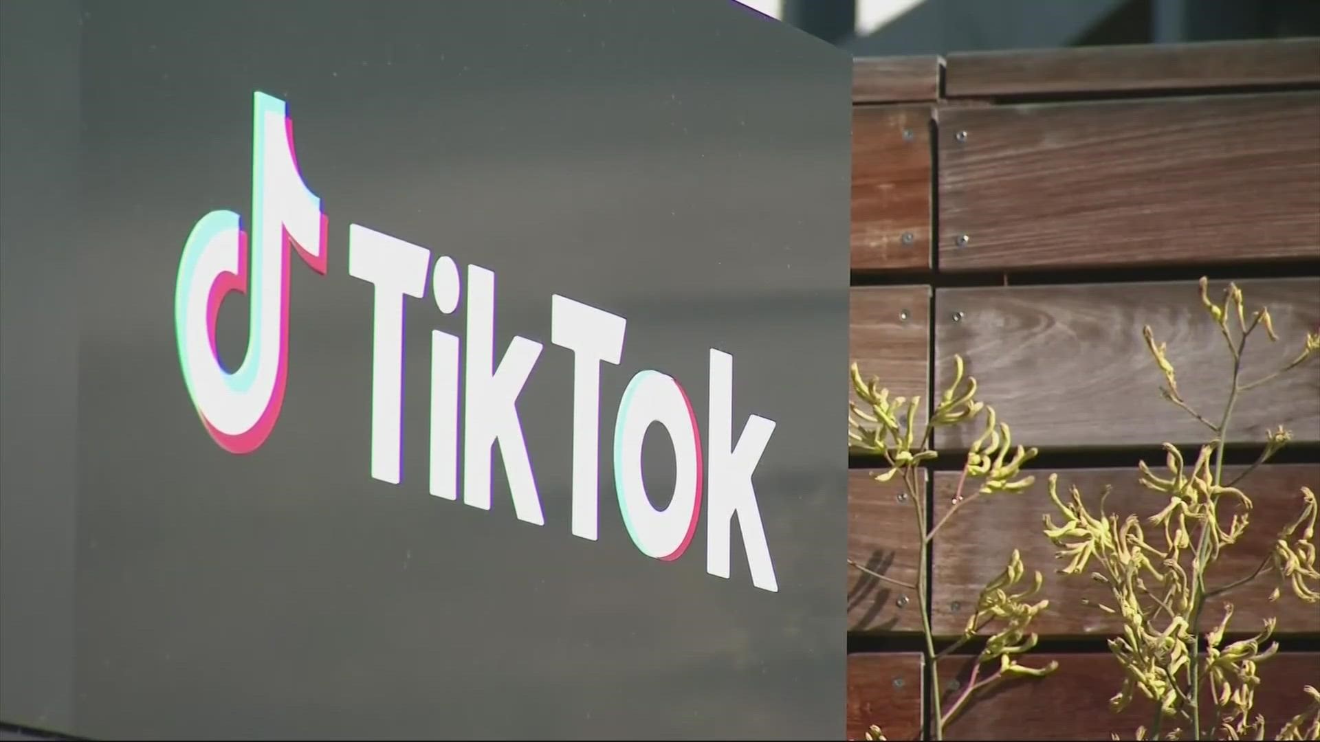 The proposal would ban TikTok and possibly other apps from state government devices and internet services on school campuses.