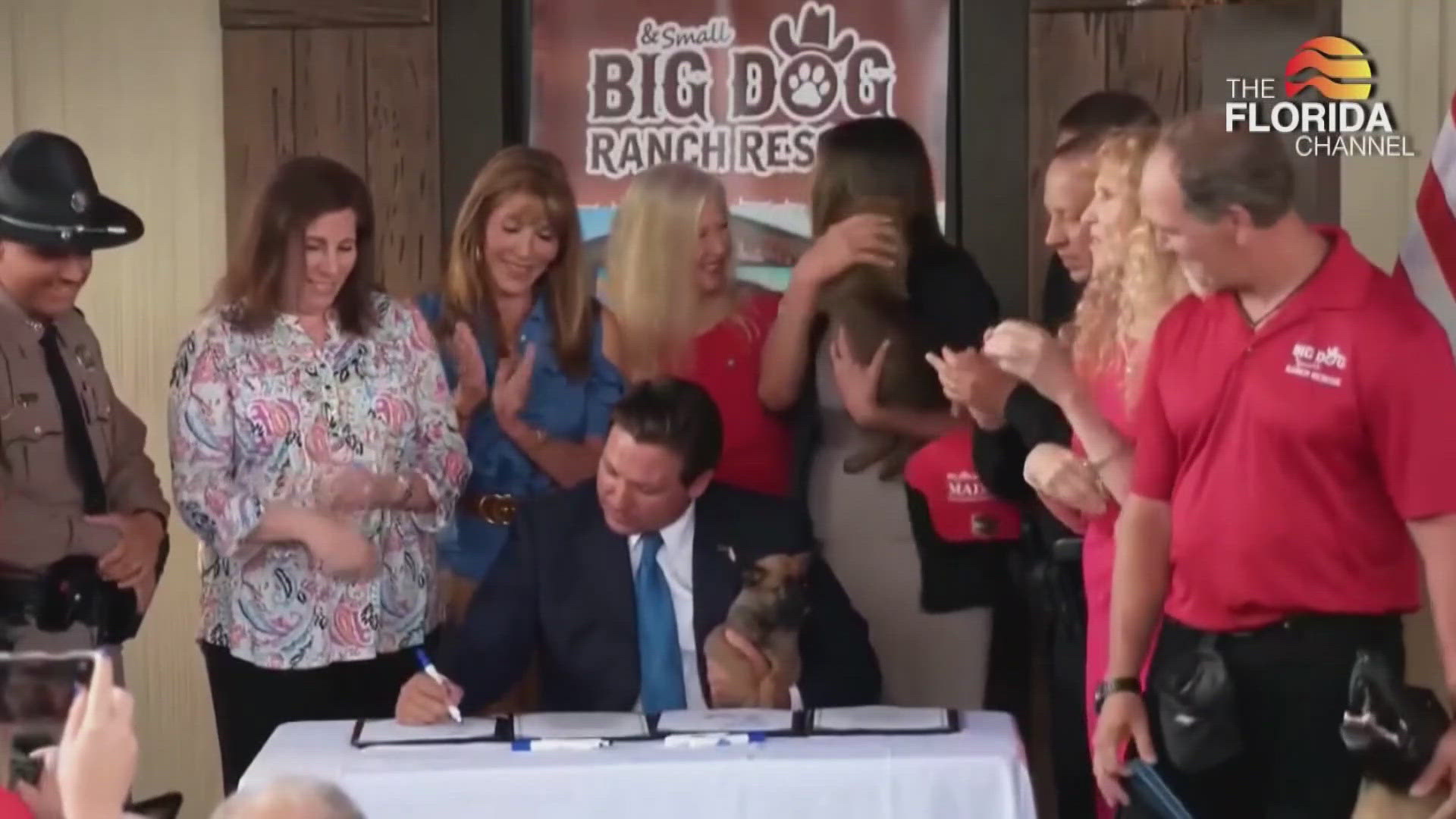 Florida Gov. Ron DeSantis signs three bills, strengthening animal protection laws and changing firearm regulations in emergencies as hurricane season approaches.