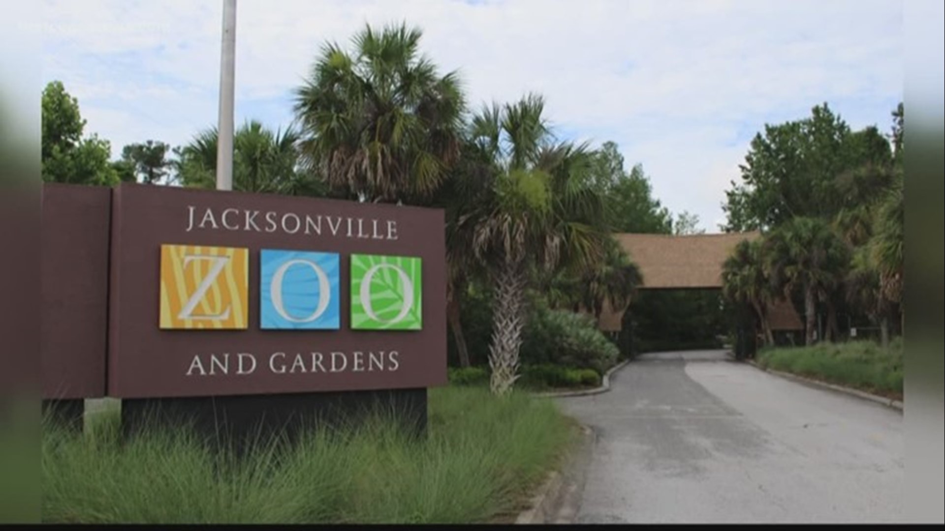 Dinosaur exhibition coming back to Jacksonville Zoo and Gardens