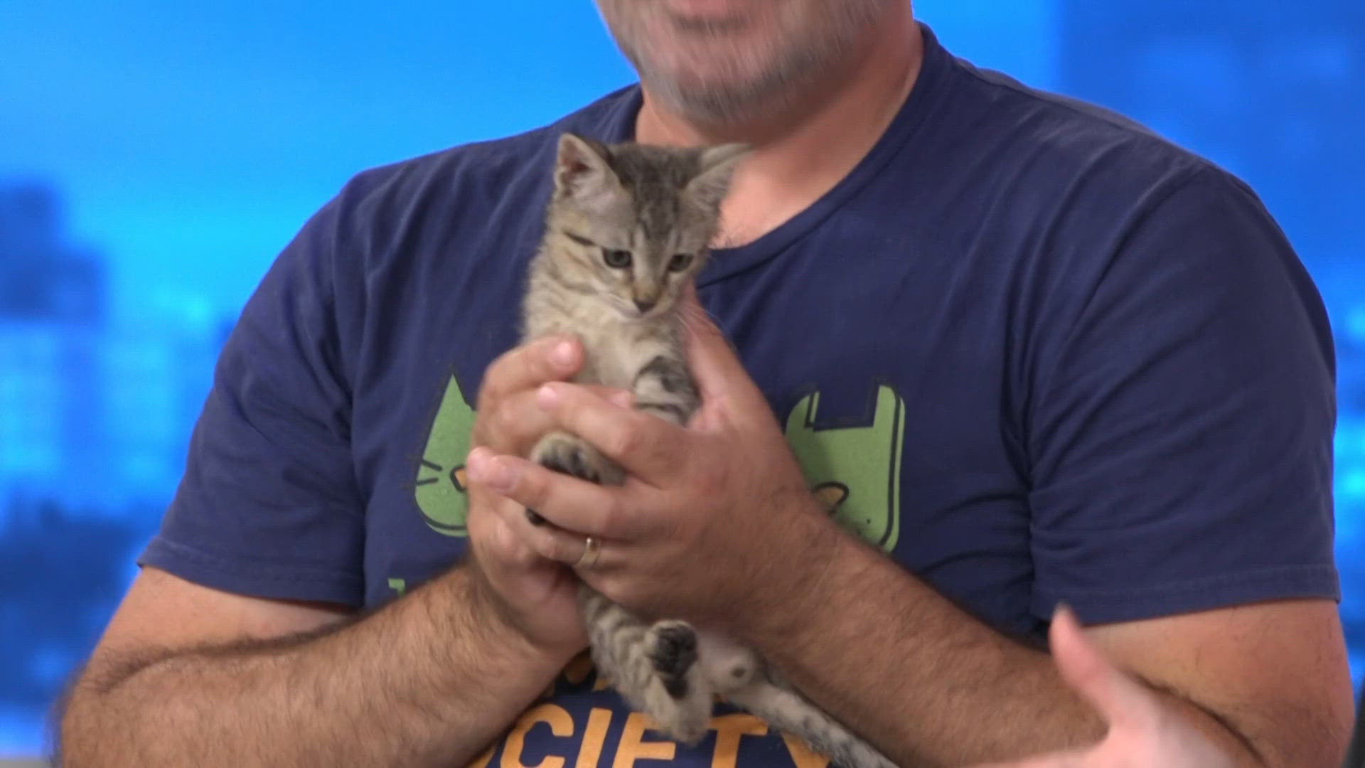 Pet Tails with Jacksonville Humane Society on GMJ