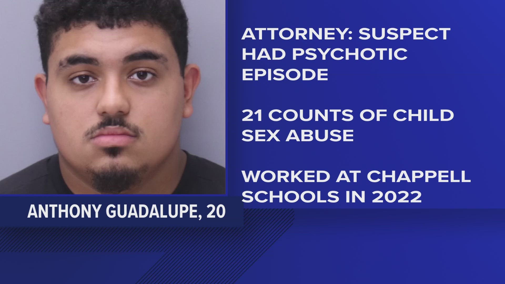 The attorney for Anthony Guadalupe, 20, said there are "reasonable grounds" to believe he was legally insane at the time the alleged assaults were committed in 2022.